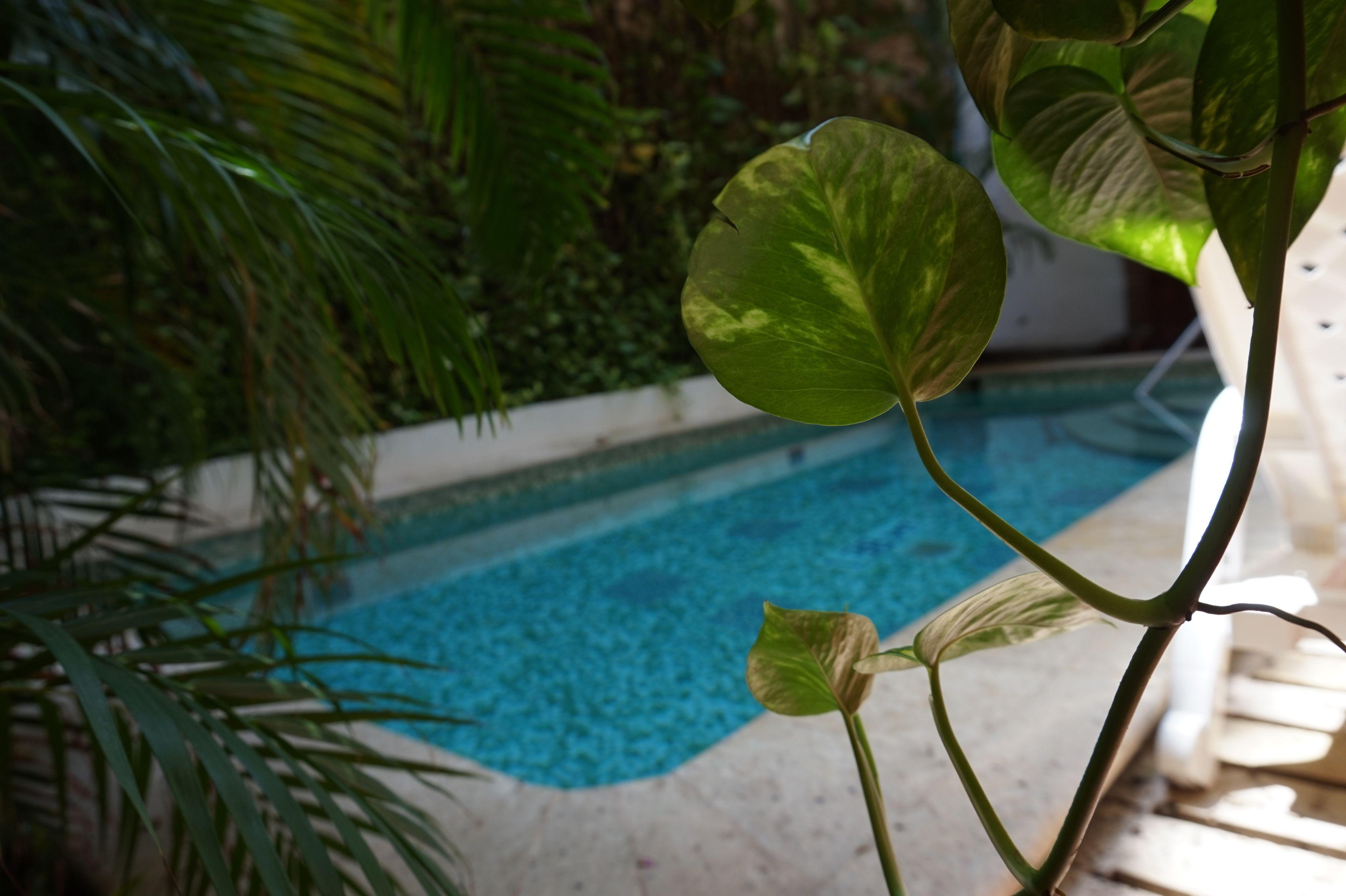 Don Pedro De Heredia 4*